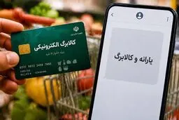 تفاوت یارانه نقدی و کالابرگ چیست؟ + جدول مقایسه کامل