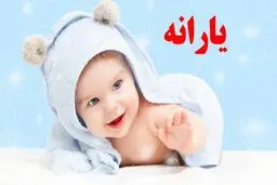 یارانه جدید یک میلیون و ۳۰۰ هزار تومانی واریز شد / شرایط ثبت‌نام و جزئیات