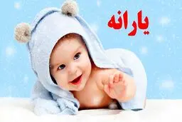 یارانه جدید یک میلیون و ۳۰۰ هزار تومانی واریز شد / شرایط ثبت‌نام و جزئیات