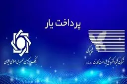 بانک مرکزی وارد شد؛ پرداخت‌یاری‌ها دیگر آزاد نیستند!
