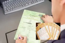 تفاوت سند سبز و آجری چیست؟

