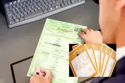 تفاوت سند سبز و آجری چیست؟
