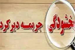 تافردافرصت دارید. آخرین مهلت بخشودگی جرایم بیمه‌ای وسایل نقلیه / کارت سوخت  باطل می‌شود