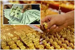 نرخ ارز دلار سکه طلا یورو شنبه ۱۷ خرداد 1404/ کاهش قیمت‌‌ها