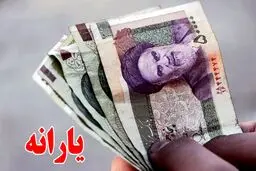 افراد بالای ۱۸ سال چگونه می‌توانند یارانه خود را جدا کنند؟ 