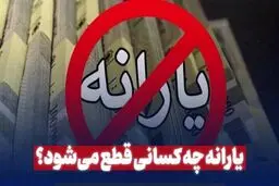 یارانه چه کسانی در سال ۱۴۰۴ قطع می‌شود؟ / اینفوگرافی