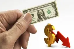 شکست قیمت دلار /  بازار ارز به کدام سو می رود؟