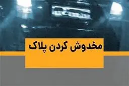 جریمه ی مخدوش کردن پلاک خودرو+ جزئیات