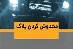 جریمه ی مخدوش کردن پلاک خودرو+ جزئیات