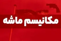 تحلیل ۲۰ کارشناس از آثار اقتصادی مکانیسم ماشه
