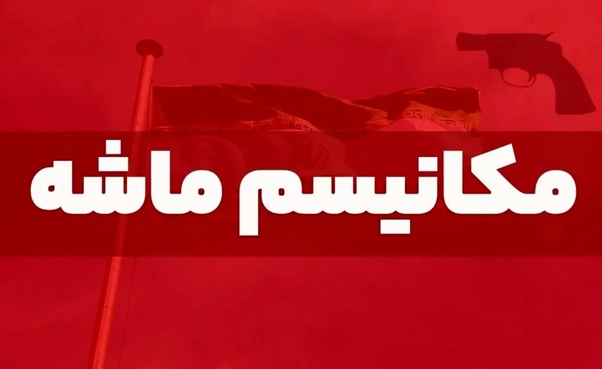 تحلیل ۲۰ کارشناس از آثار اقتصادی مکانیسم ماشه
