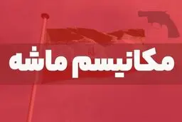 تحلیل ۲۰ کارشناس از آثار اقتصادی مکانیسم ماشه
