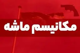 تحلیل ۲۰ کارشناس از آثار اقتصادی مکانیسم ماشه
