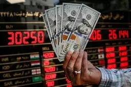 نرخ ارز در بازارهای مختلف 23 دی ماه / افزایش قیمت دلار و یورو