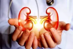 عوارض خطرناک ترکیب ایبوپروفن و کافئین برای کلیه‌ها