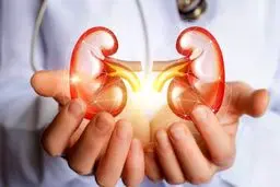 عوارض خطرناک ترکیب ایبوپروفن و کافئین برای کلیه‌ها