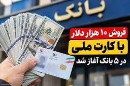 فروش ۱۰ هزار دلار با کارت ملی؛ کدام بانک‌ها دلار می‌فروشند؟ + شرایط خرید