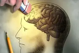 یک دستورالعمل ویژه برای سلامت مغز و تقویت تمرکز