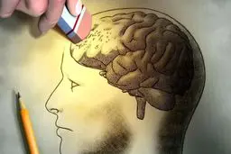یک دستورالعمل ویژه برای سلامت مغز و تقویت تمرکز