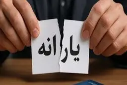 فرصت اعتراض به حذف یارانه برای خانوارها فراهم شد    