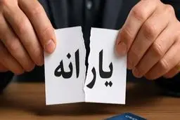 فرصت اعتراض به حذف یارانه برای خانوارها فراهم شد    
