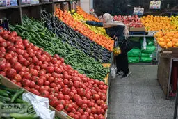 امکان خرید با کالابرگ در میادین میوه و تره بار 