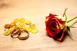 وزیر دادگستری: مهریه قرار نیست ۱۴ سکه شود