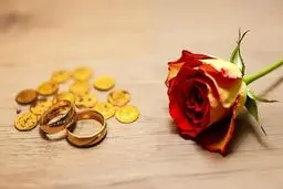 وزیر دادگستری: مهریه قرار نیست ۱۴ سکه شود