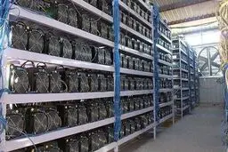 گزارش ماینرهای غیرمجاز چقدر پاداش دارد؟