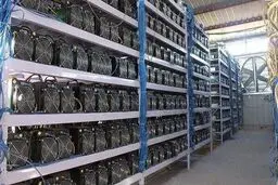 گزارش ماینرهای غیرمجاز چقدر پاداش دارد؟