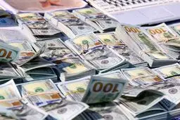 تمدیدمهلت رفع تعهد ارزی سال ۱۴۰۴ تا پایان آذر ۱۴۰۵ 