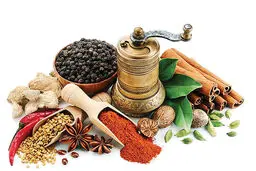 توصیه های طب سنتی برای روزهای آلوده