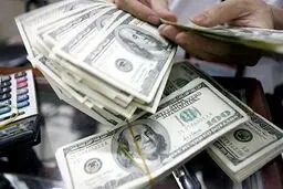 فعالیت صندوق‌های ارزی با سود ارزی ١٢ درصدی

