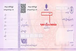 تصویر چک صیادی بنفش + تمام جزئیات