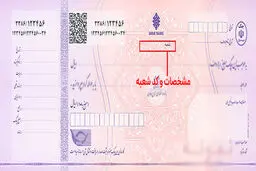 تصویر چک صیادی بنفش + تمام جزئیات
