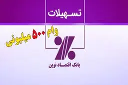 وام ۵۰۰ میلیون تومانی بانک اقتصاد نوین بدون ضامن+ مبلغ اقساط