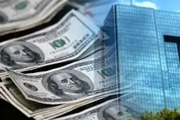 تخصیص ارز مشروط شد