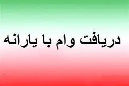 دریافت وام با یارانه/  4 حقیقتی که باید بدانید 