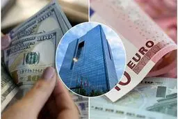  طرح پیش‌فروش ارز، روز چهارشنبه عملیاتی می‌شود /دو ابزار جدید ارزی