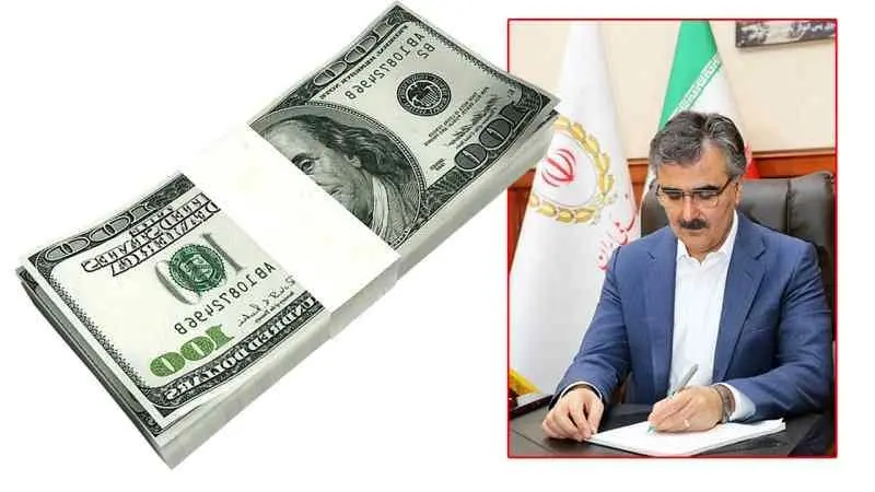 خبر مهم فرزین از نرخ ارز در سال آینده 