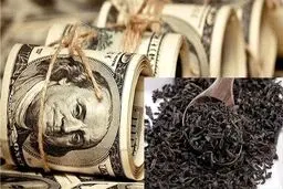 وام غیر قانونی دبش کار دست بانک ها داد!