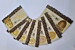 قیمت انواع سکه پارسیان امروز دوشنبه ۱۶ تیر ۱۴۰۴