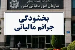 تشریح نحوه تعیین نرخ ارز فعالان اقتصادی در واردات بدون انتقال ارز