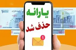 چقدر درآمد داشته باشید از دریافت یارانه حذف می‌شوید؟