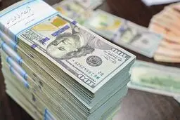 همه‌ چیز درباره کسب سود دلاری برای هر نفر 