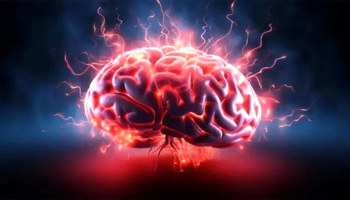 وقتی گرما مغز را کم‌فروغ می‌کند