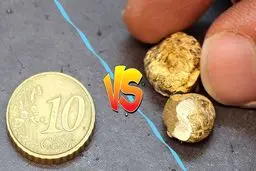 آیا سکه ی امامی می‌تواند جایگزینی برای طلای آب شده باشد؟
