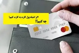 اگر پول را اشتباهی به حساب دیگری واریز کردید، چطور آن را پس بگیرید؟ + مراحل قانونی و اقدام فوری