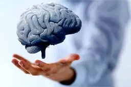 مهم ترین عامل تشدید کننده پیری مغز چیست؟