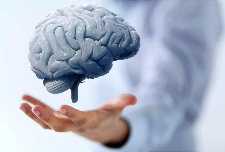 مهم ترین عامل تشدید کننده پیری مغز چیست؟